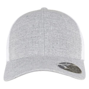 110 Mesh 2-Tone Cap